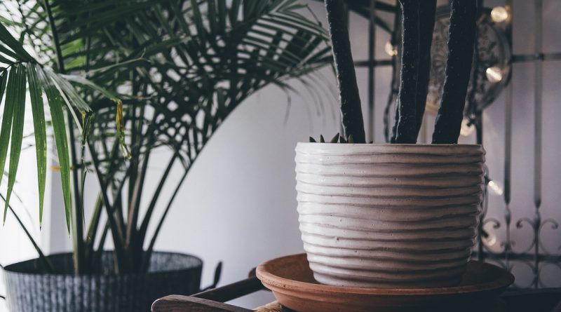 Indoor decor