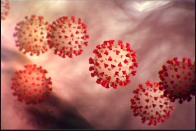 virus